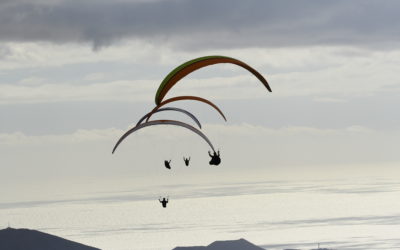 Discover the thrill of paragliding in Tenerife!