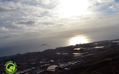 Wir sagen Ihnen, warum Paragliding die beste Aktivität auf Teneriffa ist
